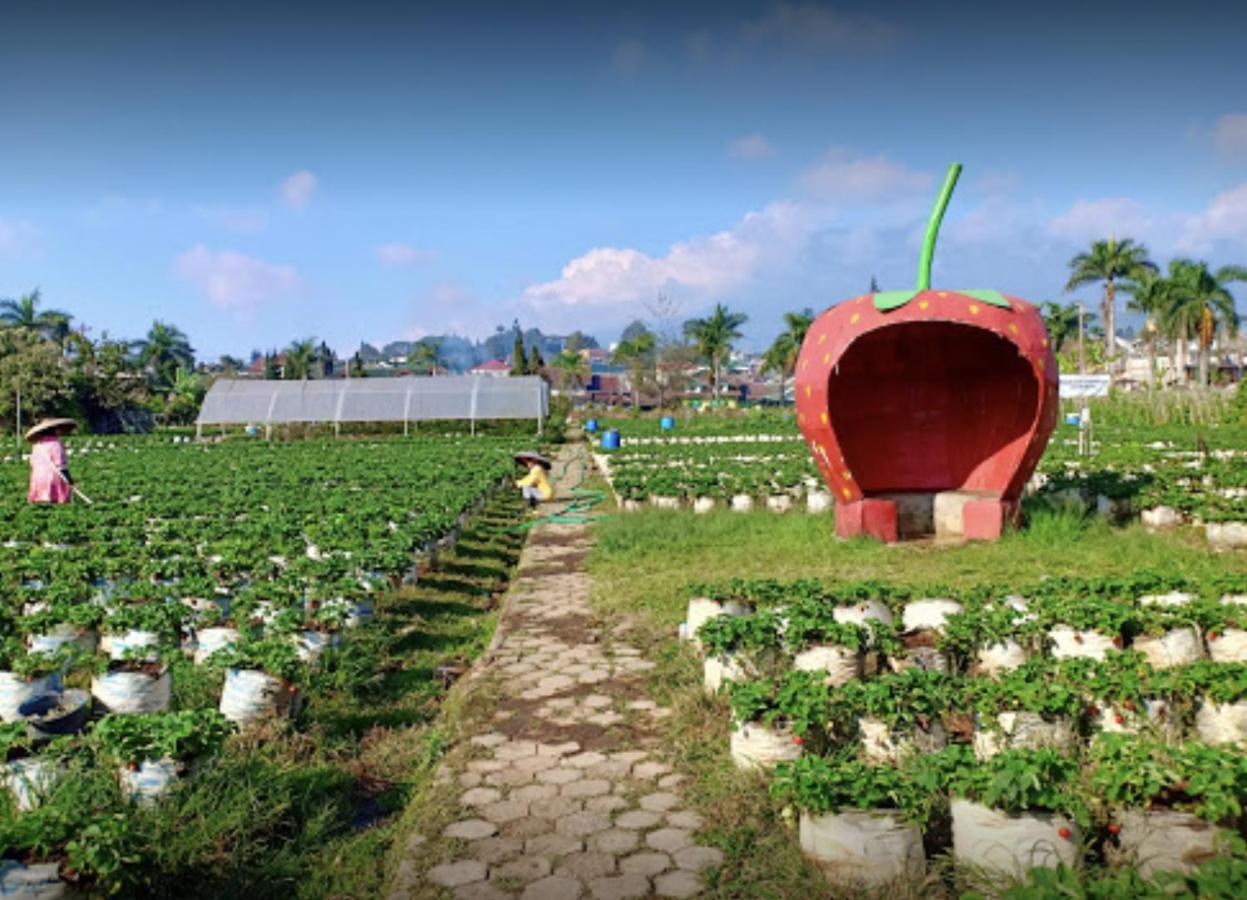 Villa Musti Green Apple Cipanas Sindanglaya Eksteriør bilde